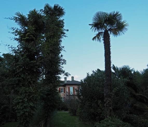 casa_sibylla_007
