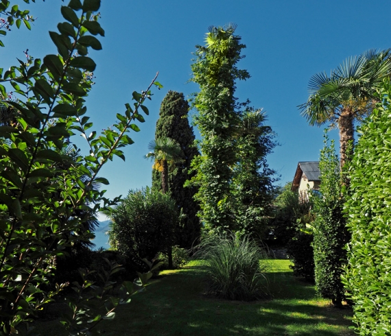 casa_sibylla_013