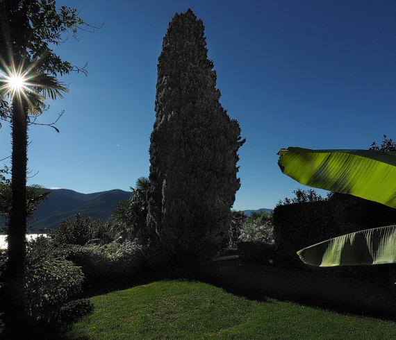 casa_sibylla_015